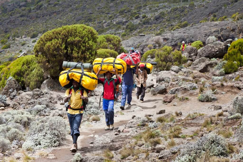 Восхождение на Килиманджаро 2018