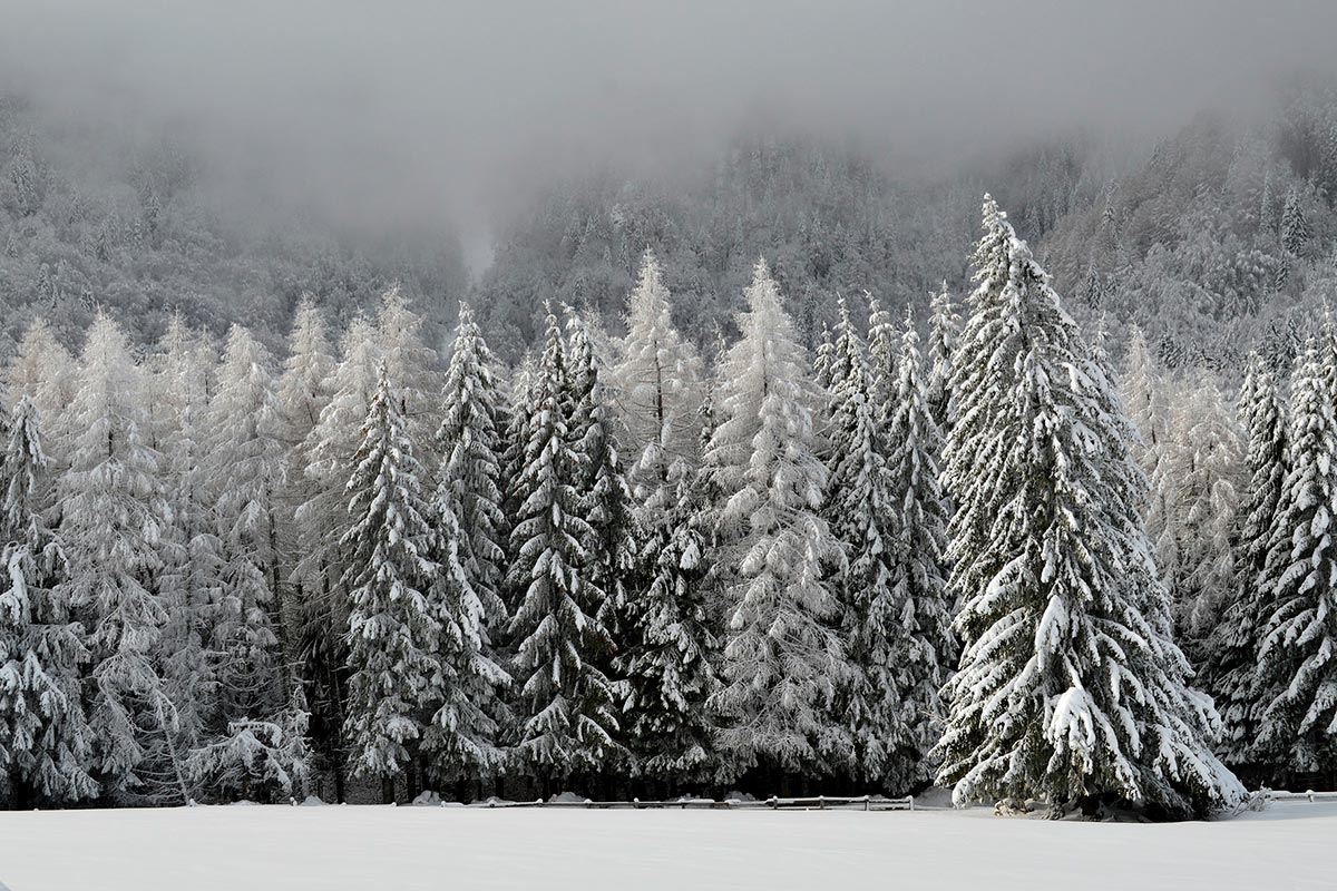 Зимний уральский лес